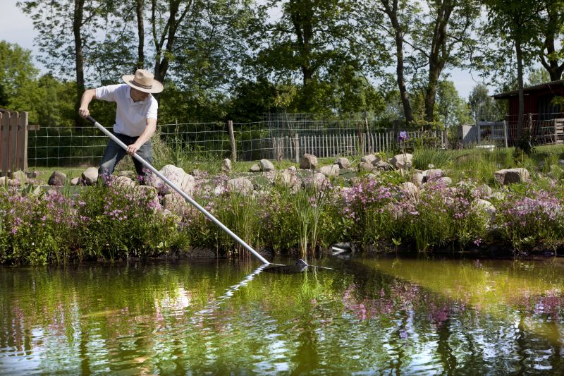 Koi Pond Cleaning Services Overview