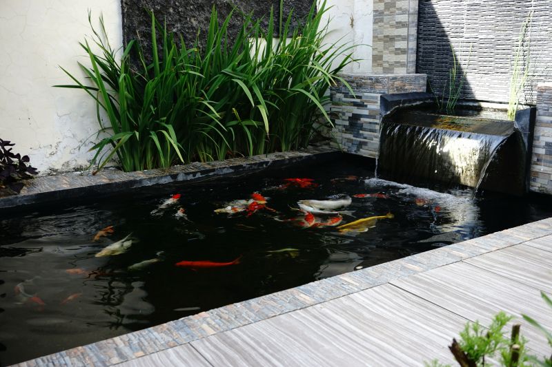 Koi Pond Cleaning Products and Supplies