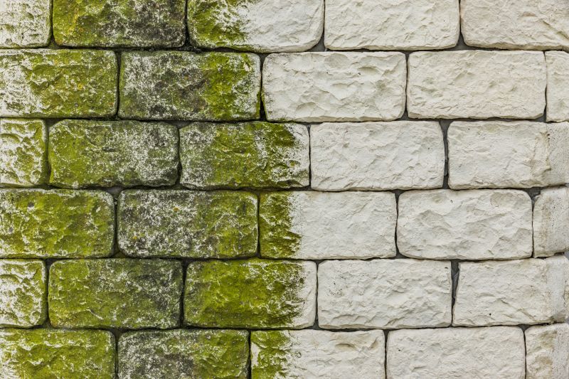 Algae Control Techniques